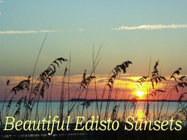702 Jungle Road Edisto Island, SC 29438 - Photo 40 of 45 40