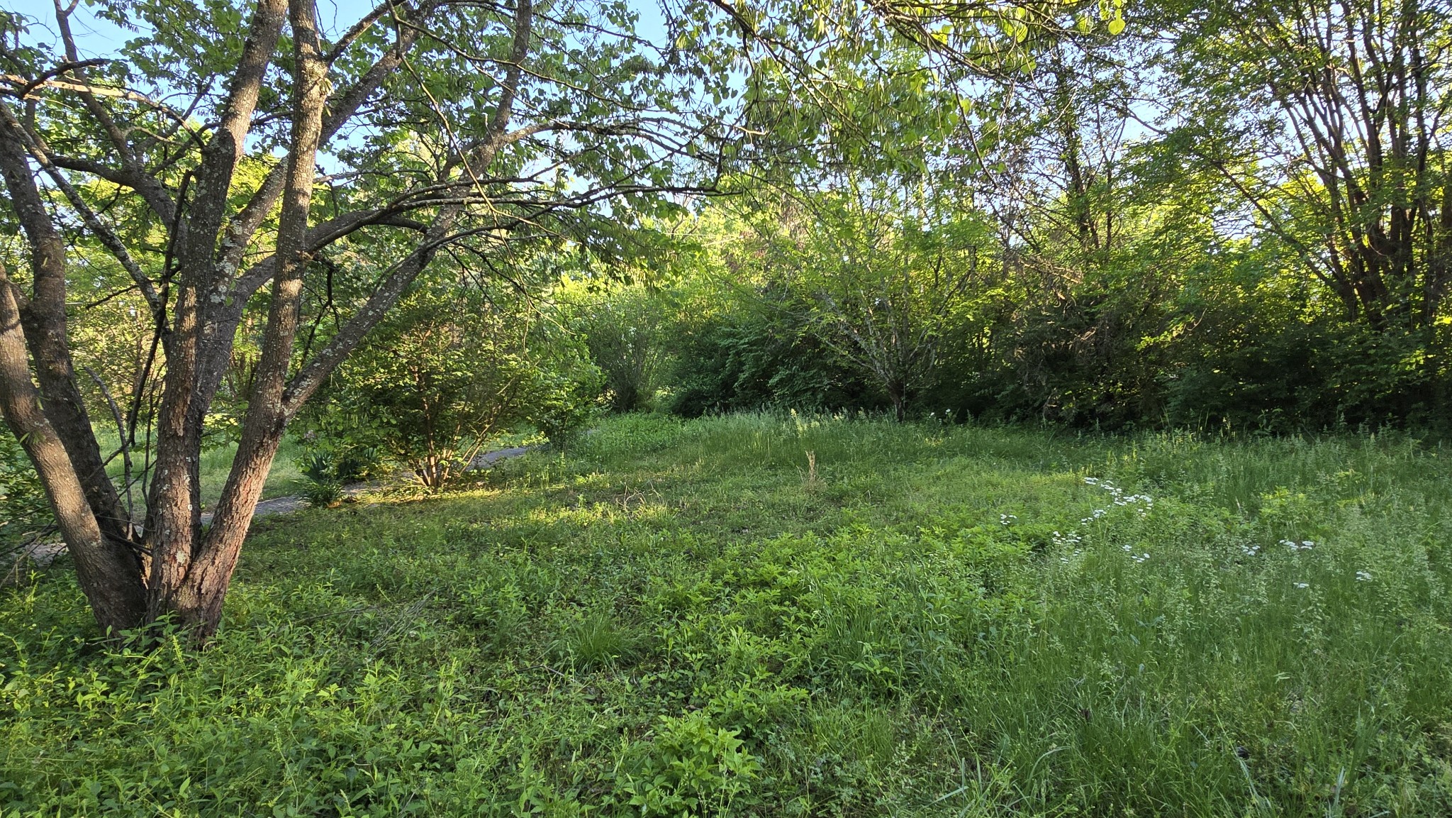 765 Florence Circle Madison, TN 37115 - Photo 4 of 10