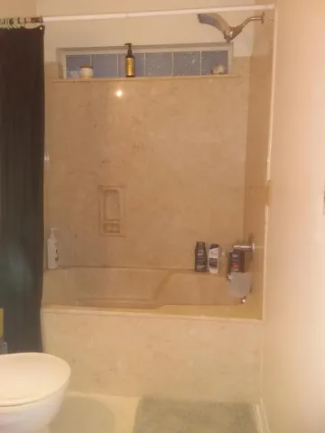 a bathroom with a shower and a toilet