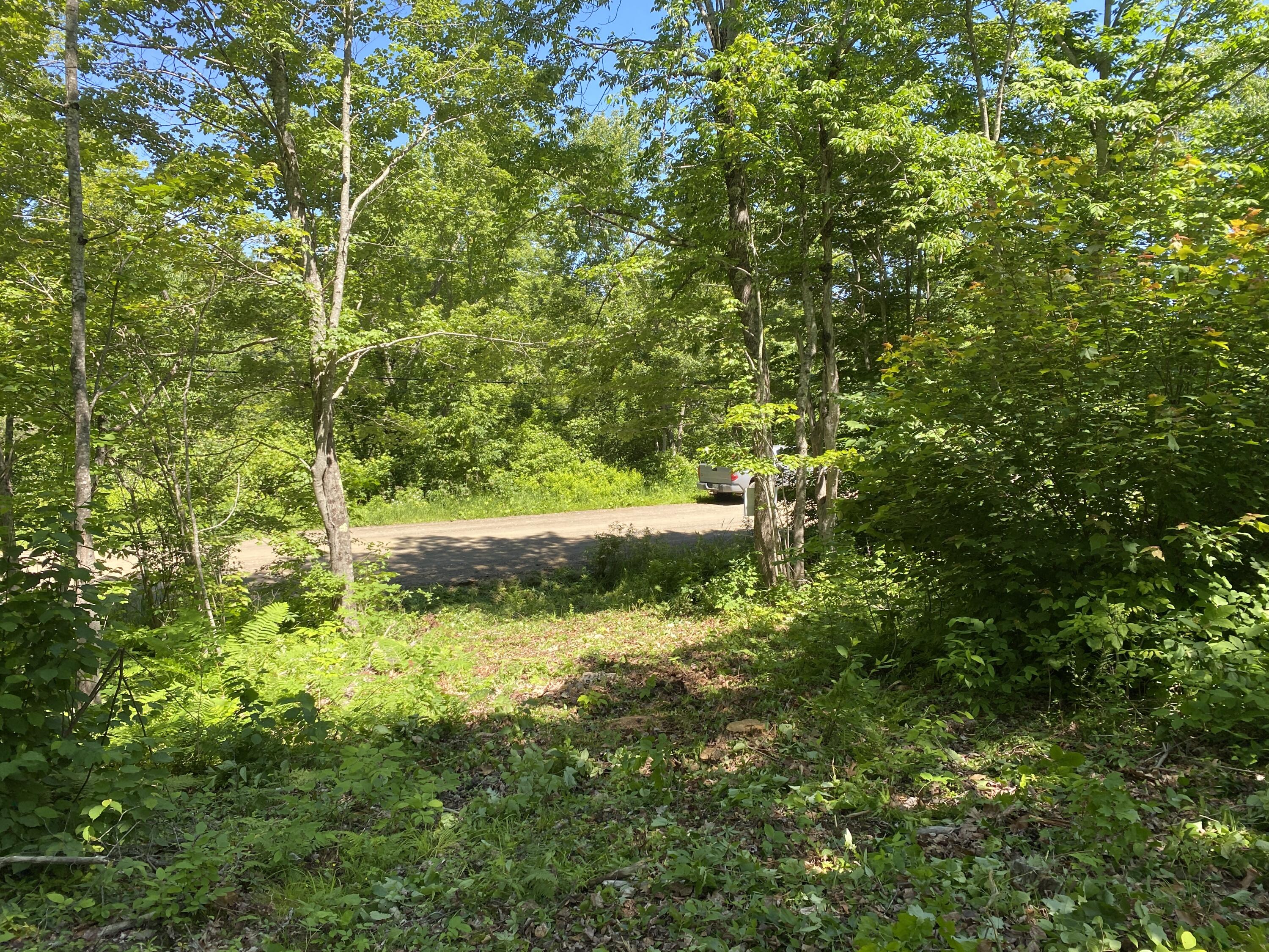 Lot B2 Clements Road Monroe, ME 04951 - Photo 5 of 10 9D66FD2B-AB22-4E68-928E-2655DF8846E2
