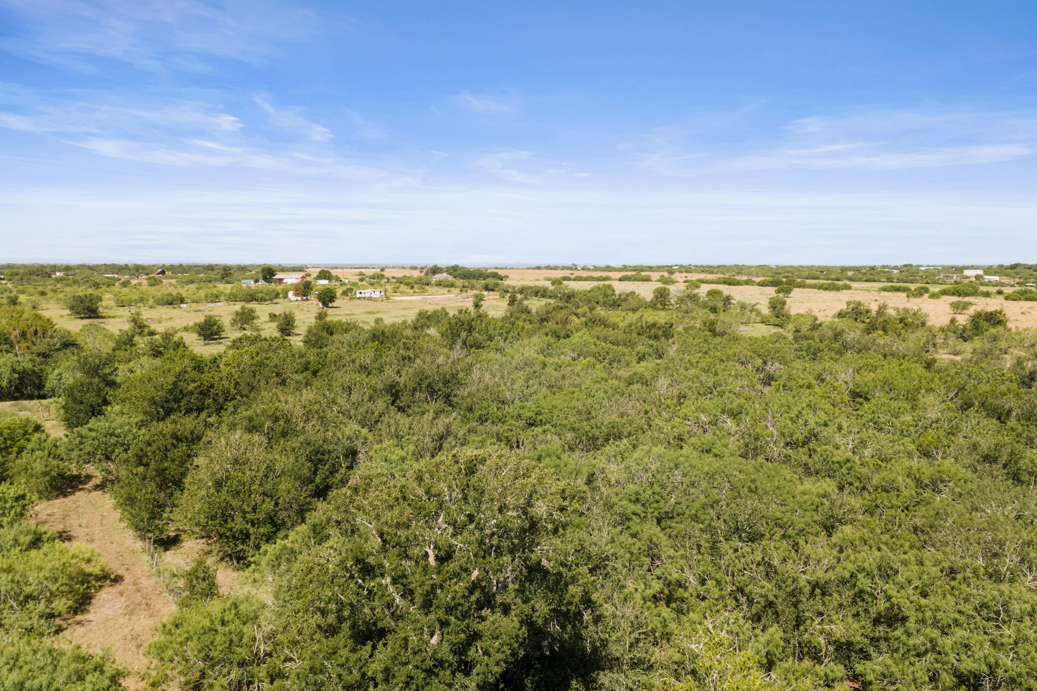 625 Callihan Road Luling, TX 78648 - Photo 17 of 26 Vast, verdant landscape stretches to the horizon under an expansive sky.