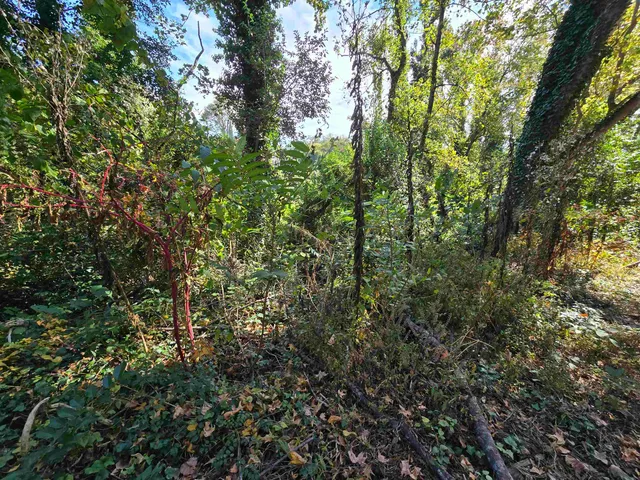 $50,000 | 107 Murph Hill Road, Cowpens, SC 29330