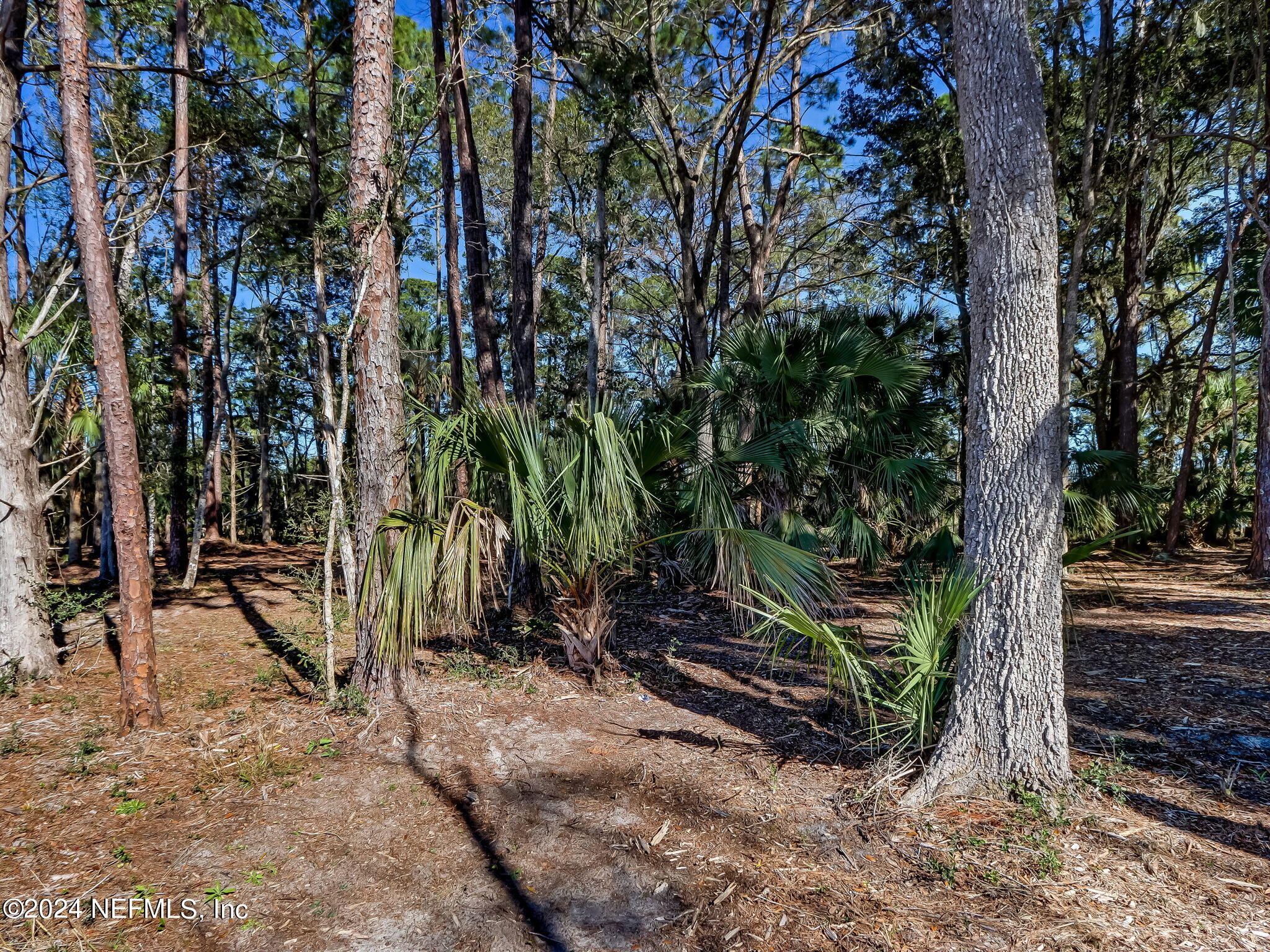 481 Shell Ridge Lane Ponte Vedra, FL 32081 - Photo 13 of 31 12-web-or-mls-12_River Landing Lot 62