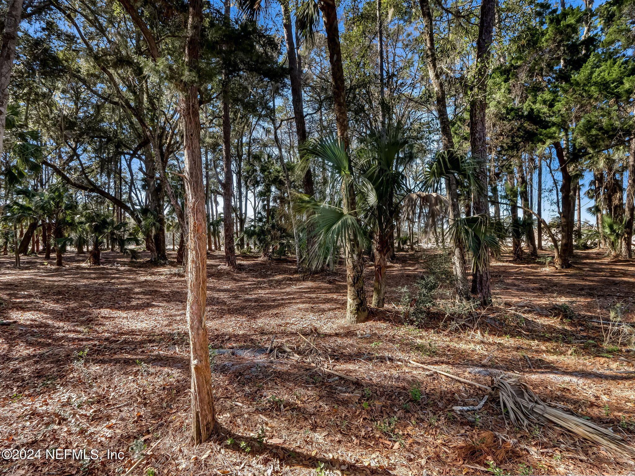 481 Shell Ridge Lane Ponte Vedra, FL 32081 - Photo 16 of 31 15-web-or-mls-15_River Landing Lot 62