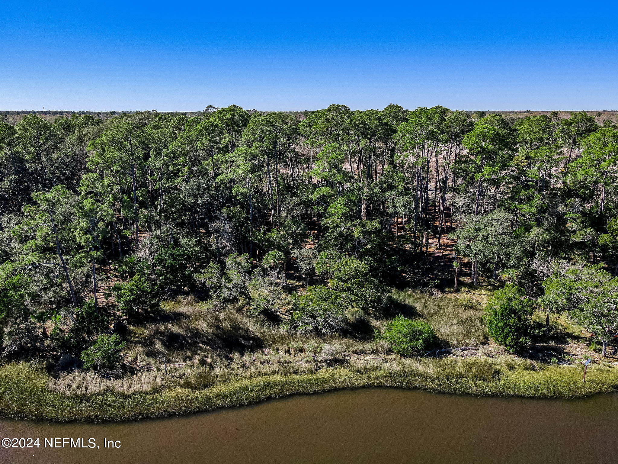 481 Shell Ridge Lane Ponte Vedra, FL 32081 - Photo 9 of 31 8-web-or-mls-8_River Landing Lot 62