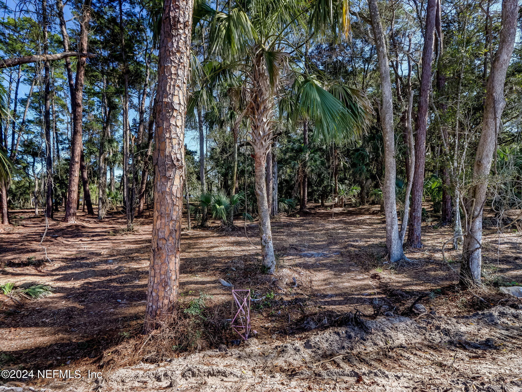481 Shell Ridge Lane Ponte Vedra, FL 32081 - Photo 10 of 31 9-web-or-mls-9_River Landing Lot 62