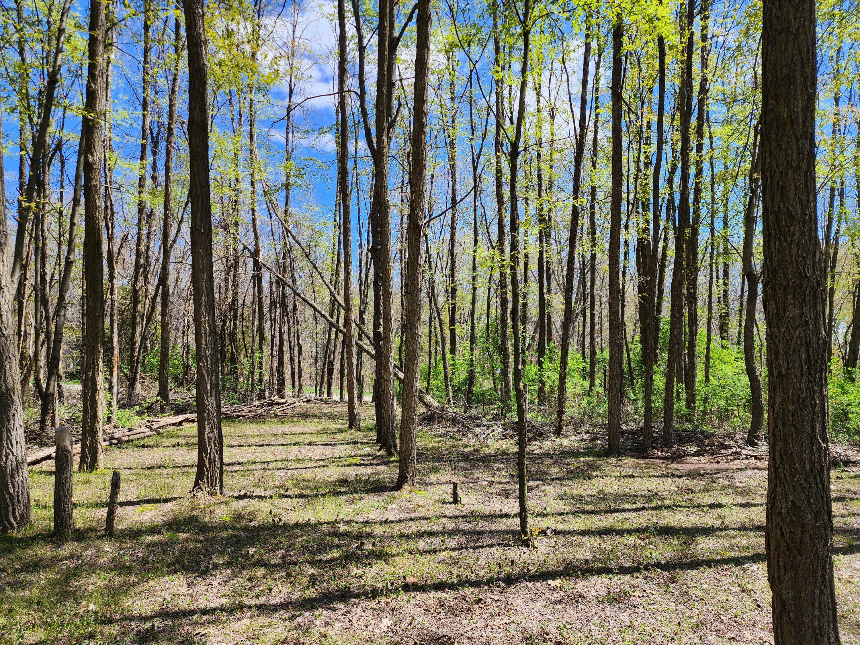 Lot 45 James Drive Three Rivers, MI 49093 - Photo 3 of 8 james dr 45 4