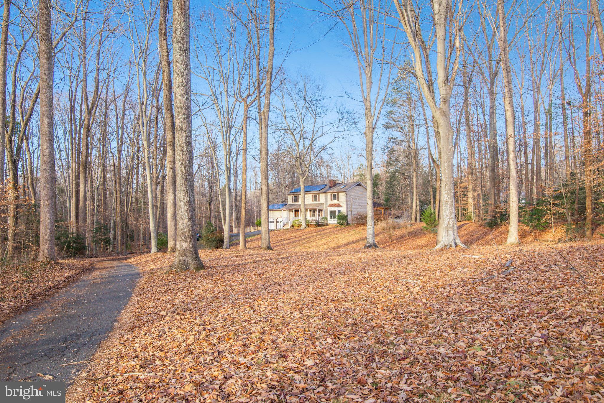8308 Sinclair Mill Road Manassas, VA 20112 - Photo 5 of 51 Long Private Driveway to the House