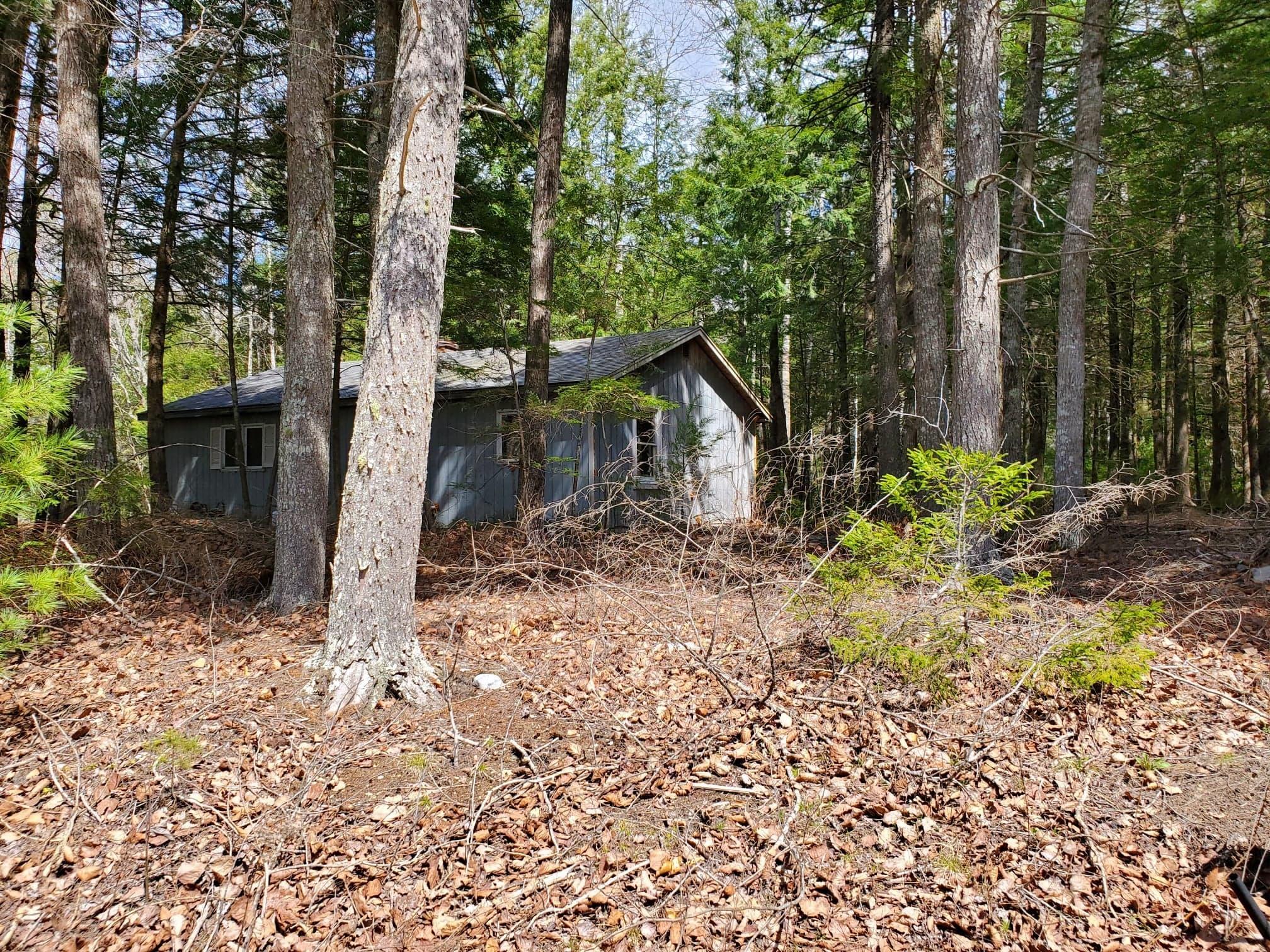 91 Old Hay Road Ellsworth, ME 04605 - Photo 7 of 9 wooded lot