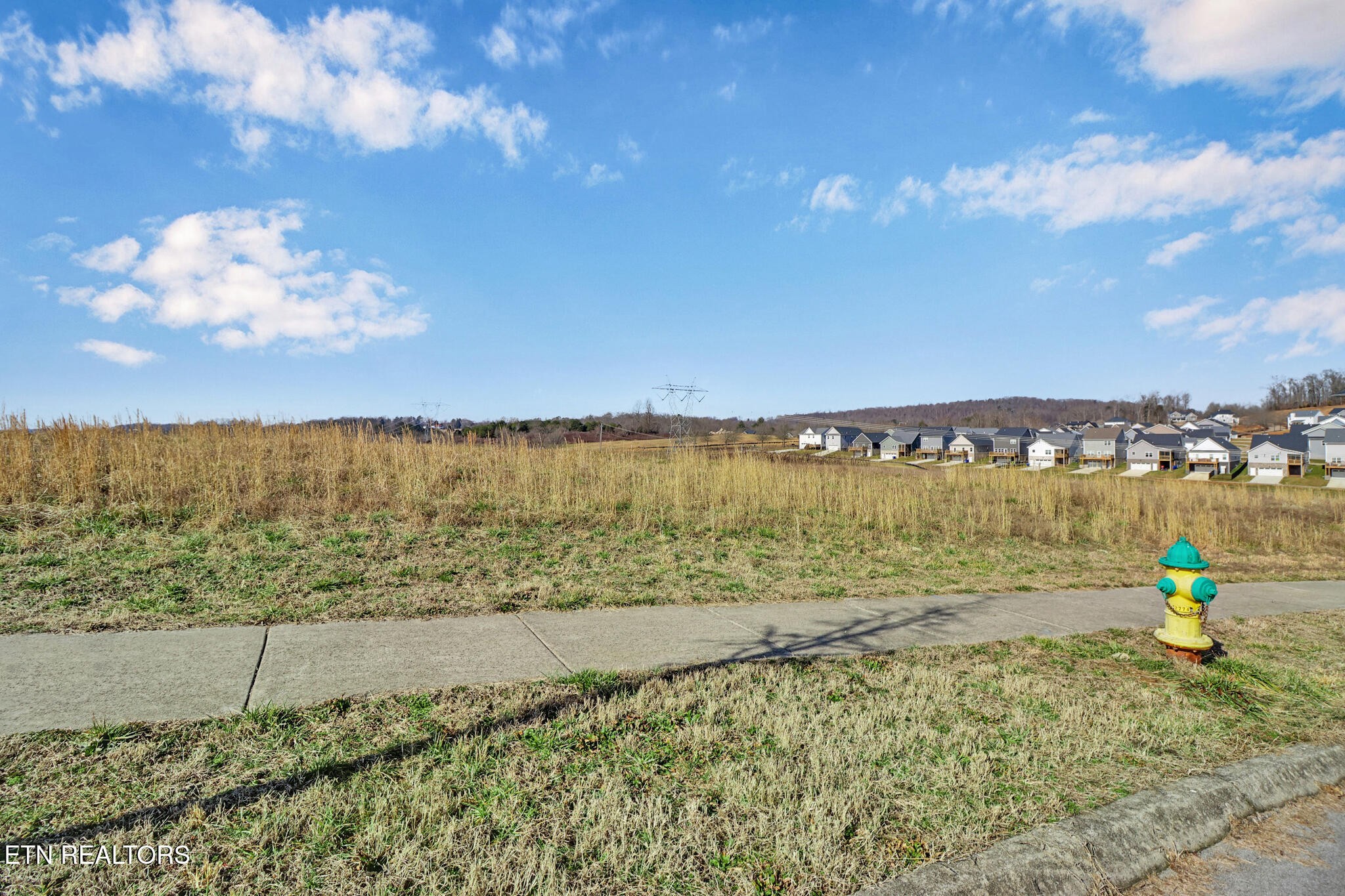 111 Hollyberry Road Oak Ridge, TN 37830 - Photo 7 of 9 Gallery Image 7