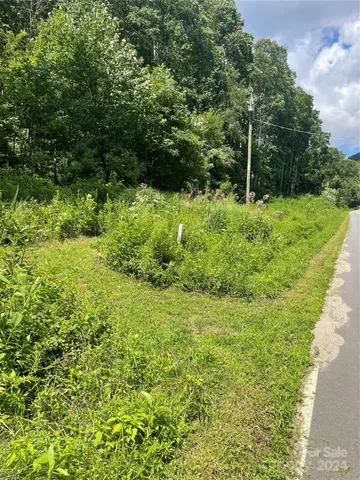 a view of a garden from a window