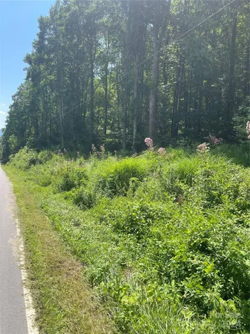 a view of a yard with large trees