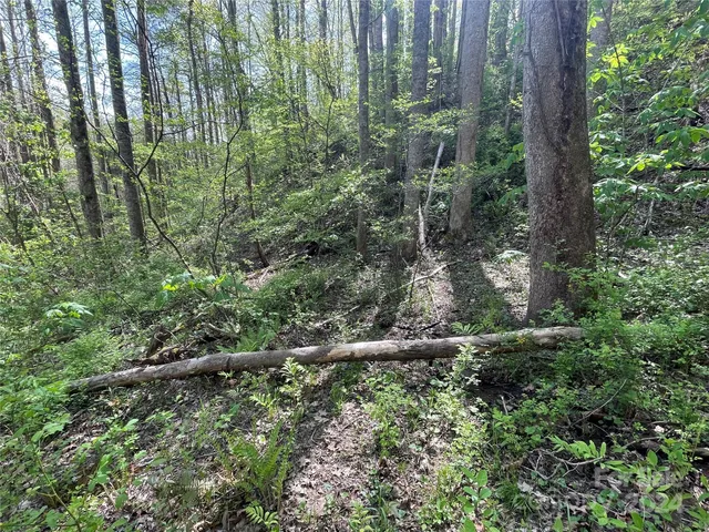 a backyard of a house