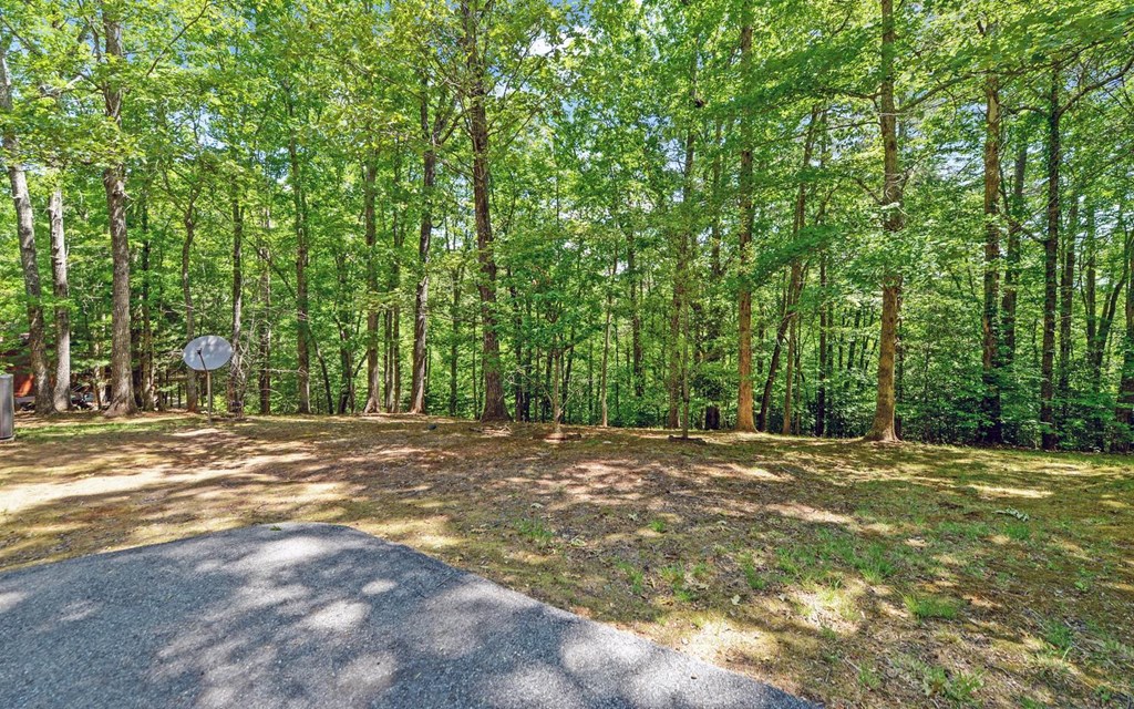 164 Dew Drop Lane Murphy, NC 28906 - Photo 32 of 49