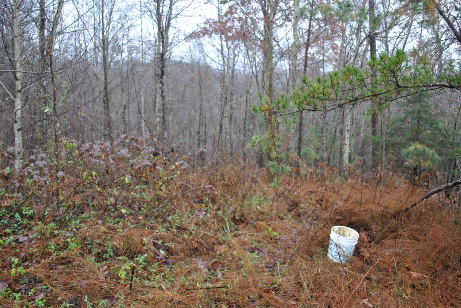 567 Chestnut Flat School Road McKee, KY 40447 - Photo 37 of 68 Photo 37