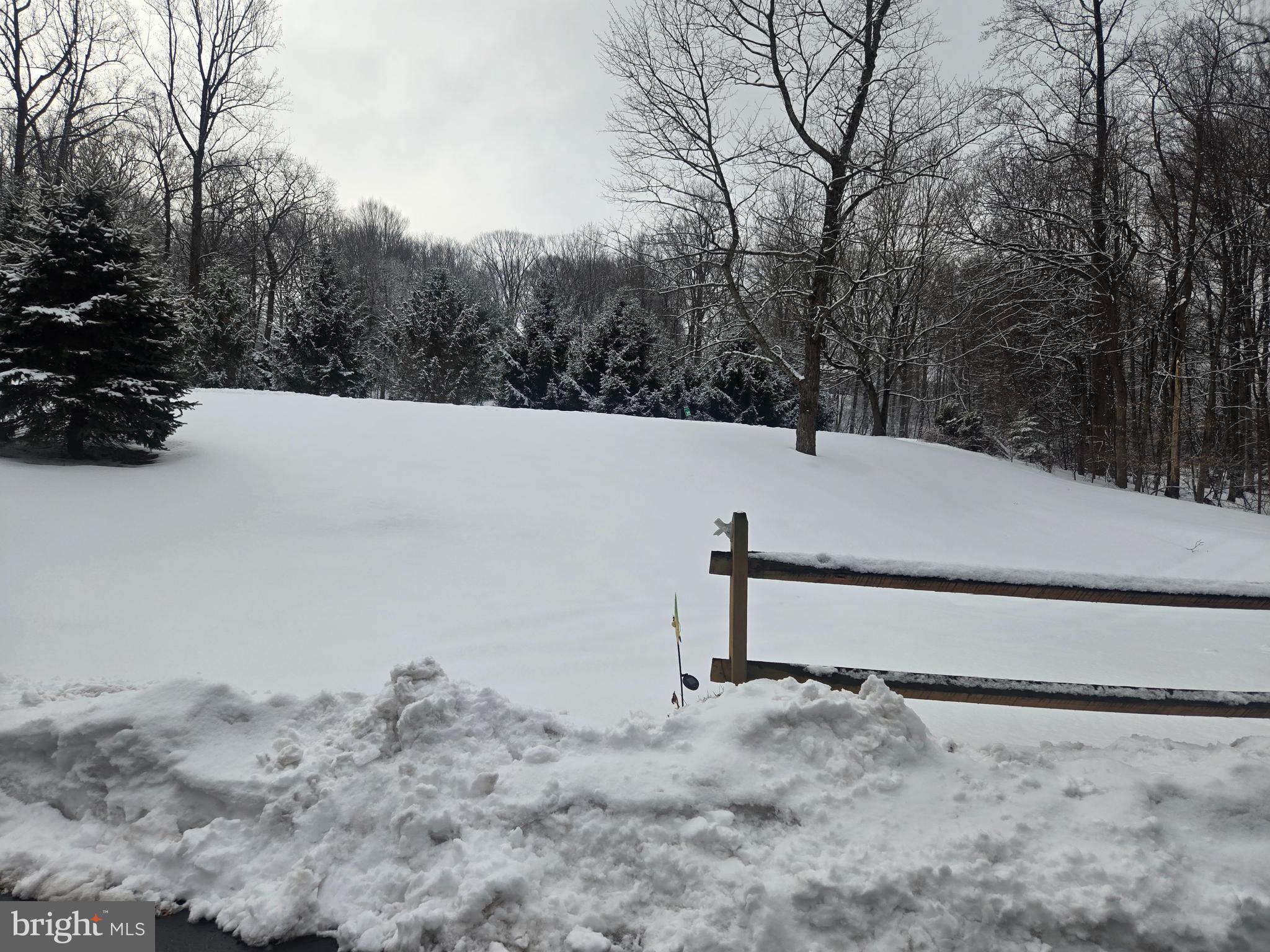 3 White Oak Road Fleetwood, PA 19522 - Photo 44 of 48 a view of a backyard of the house