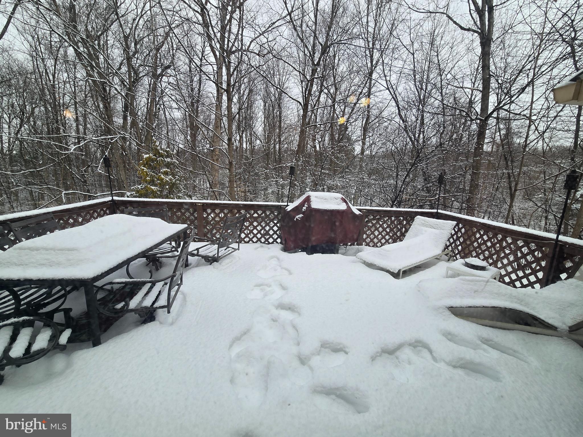 3 White Oak Road Fleetwood, PA 19522 - Photo 48 of 48 a view of backyard with furniture