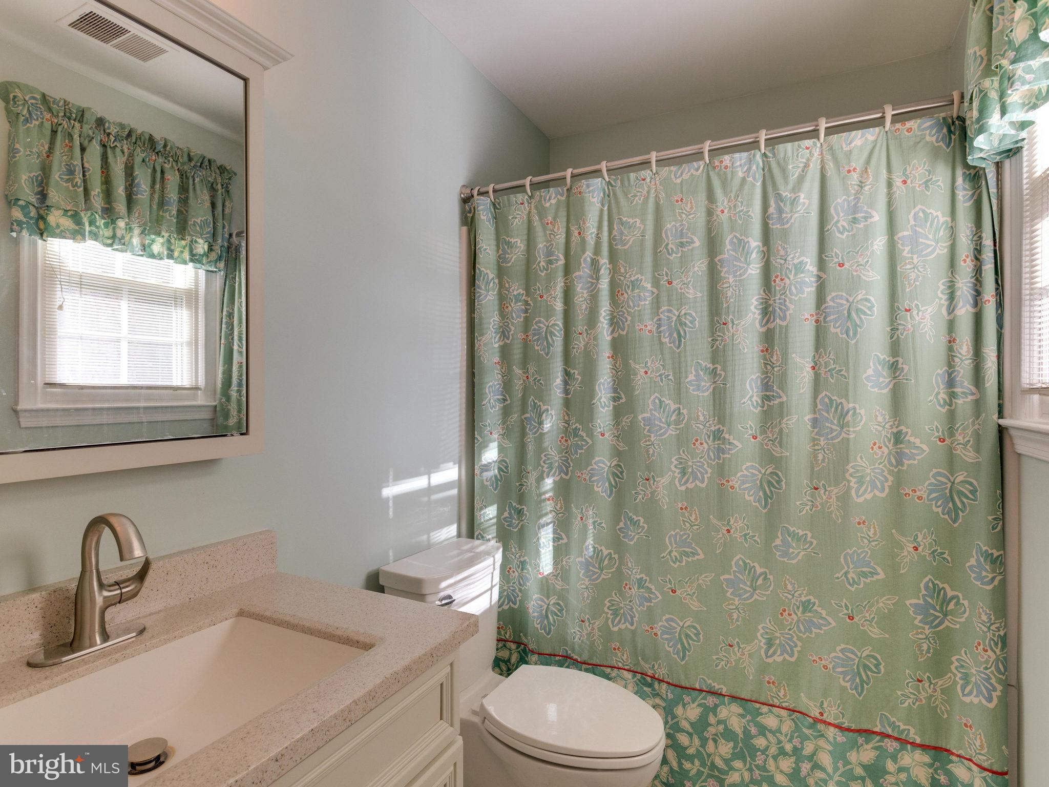 203 E Street Northeast Vienna, VA 22180 - Photo 25 of 30 Bath