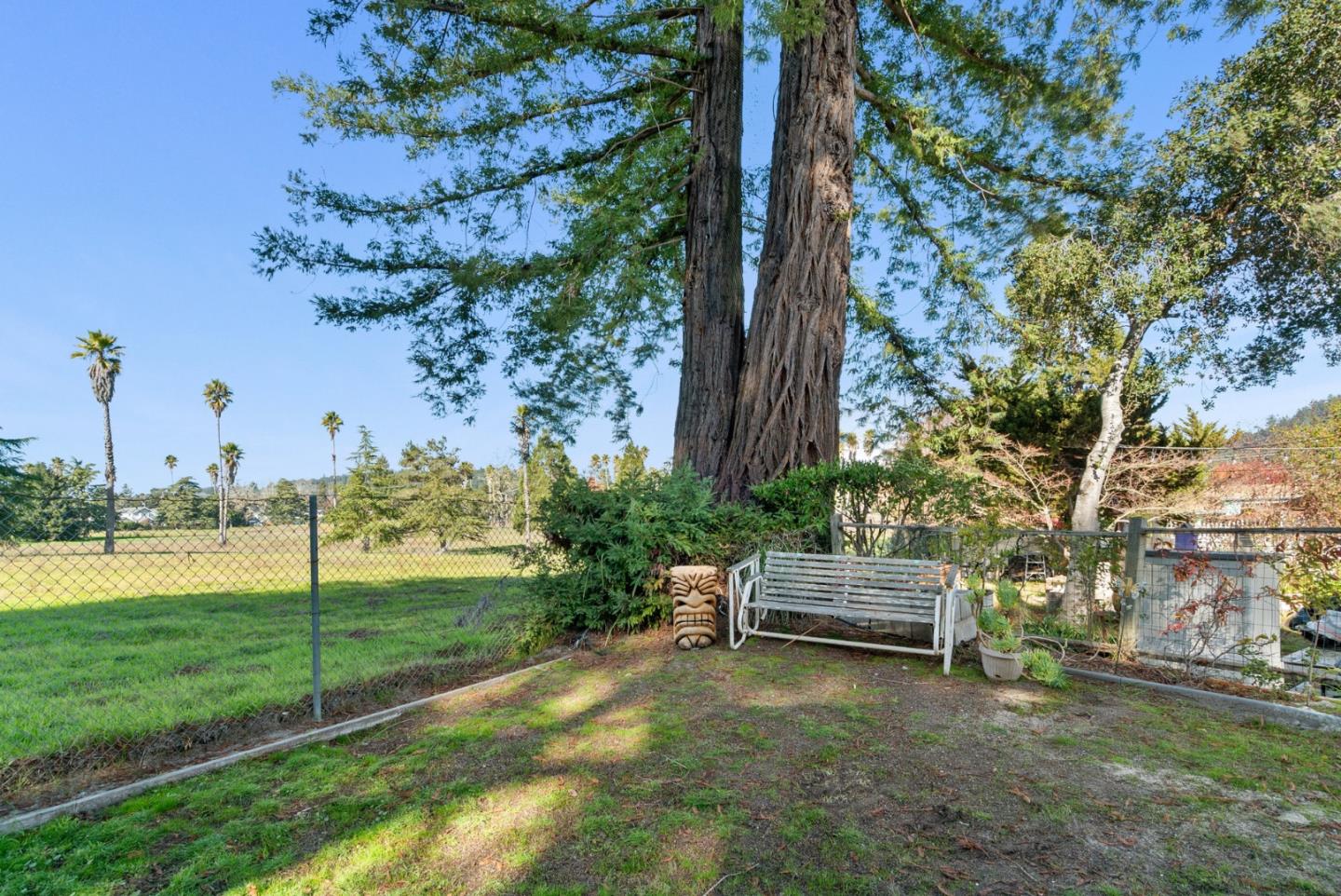 225 Mt Hermon Road, Unit 199 Scotts Valley, CA 95066 - Photo 40 of 44 a garden with a bench and trees