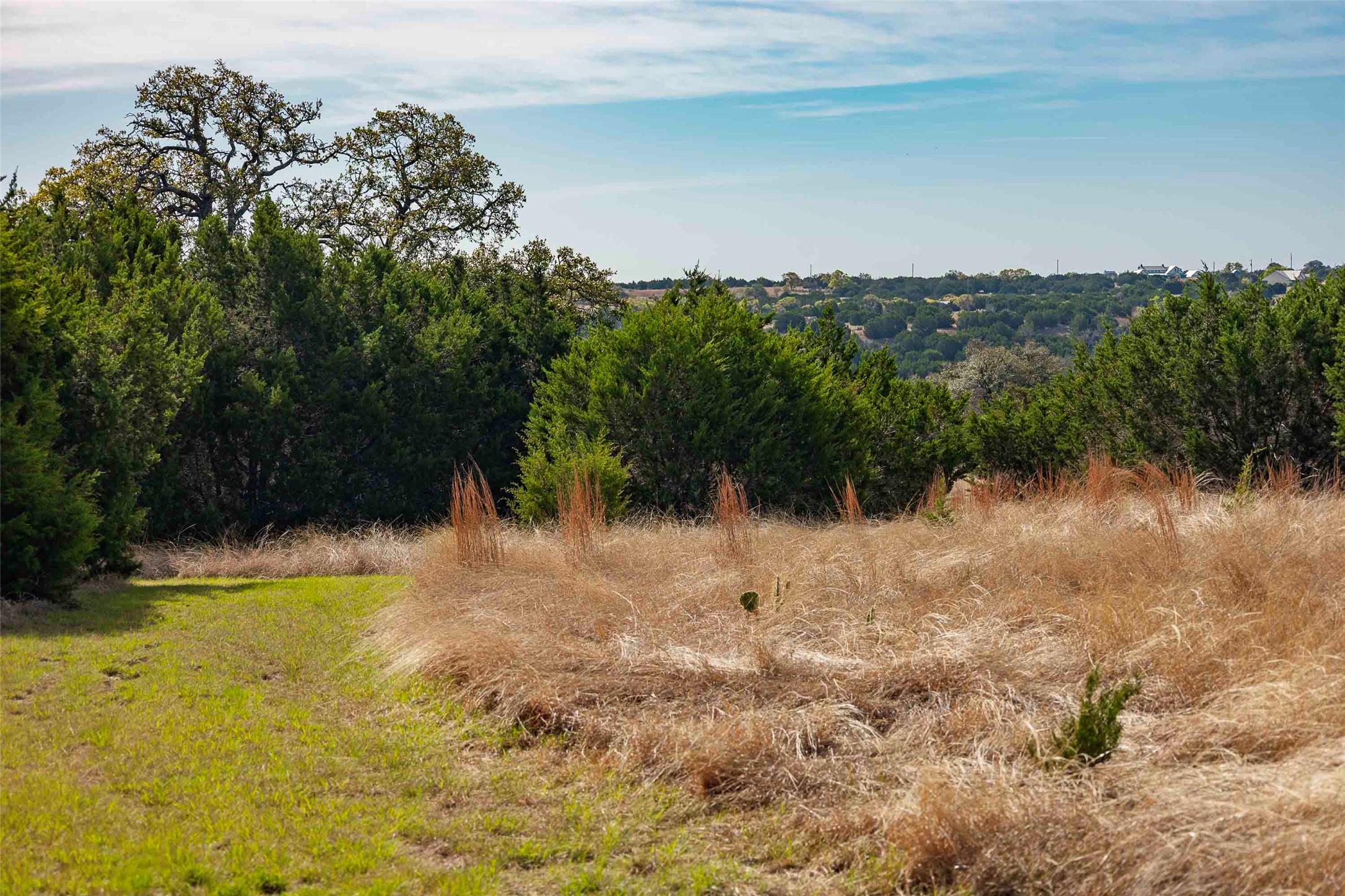 Tbd Saddle Ridge Drive Bertram, TX 78605 - Photo 20 of 40 View of tree filled area