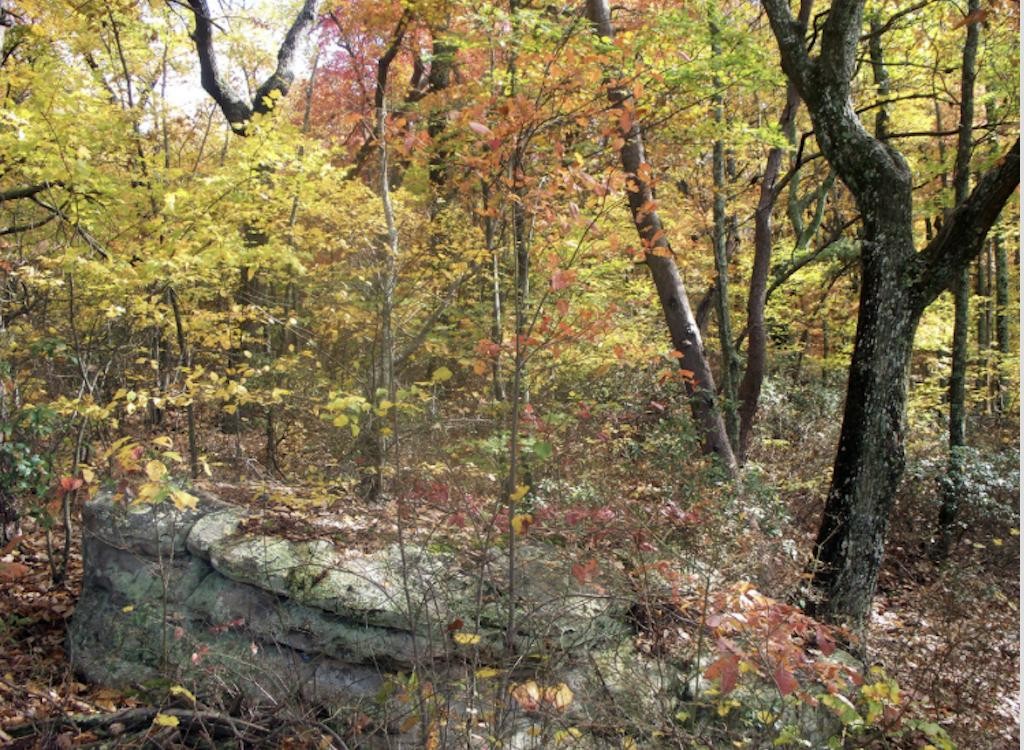 0 Big Fork Road Signal Mountain, TN 37377 - Photo 18 of 21 Gallery Image 18