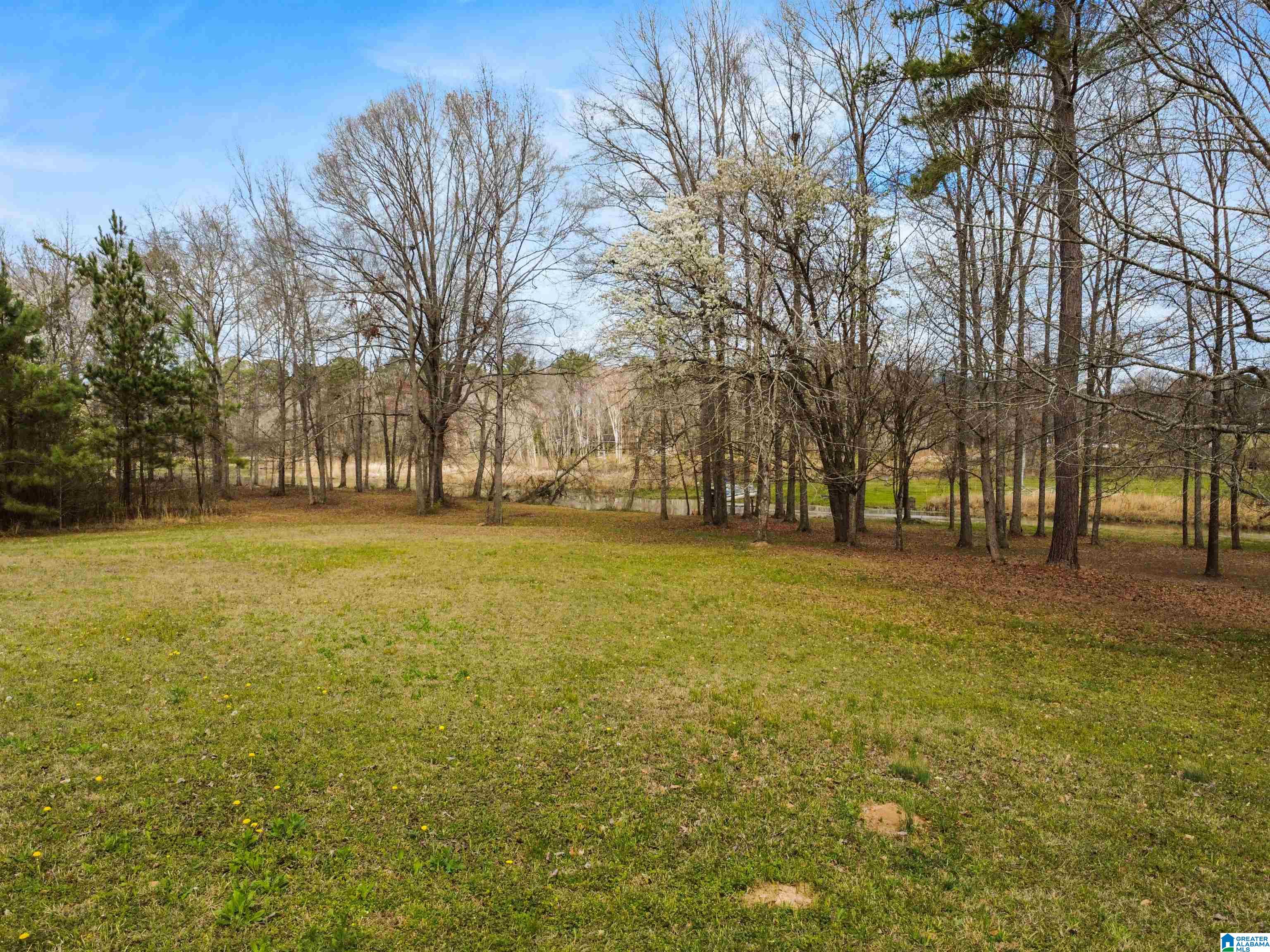 198 Heasletts Road Childersburg, AL 35044 - Photo 41 of 43
