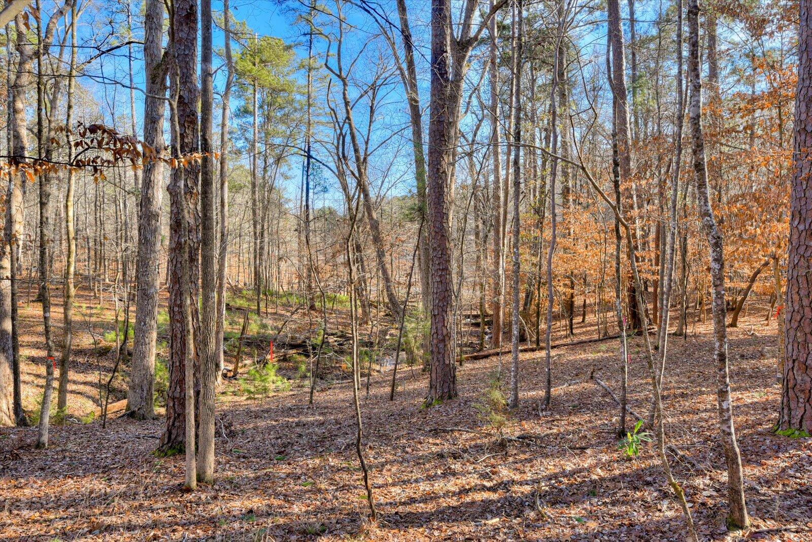 247 Candlewick Loop McCormick, SC 29835 - Photo 48 of 59 48-148