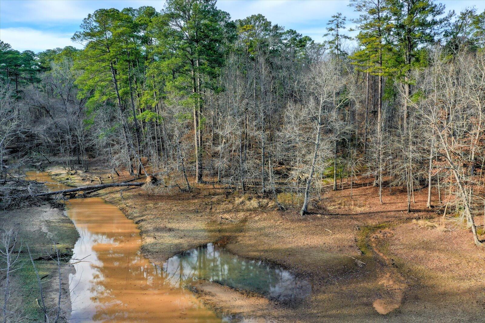 247 Candlewick Loop McCormick, SC 29835 - Photo 56 of 59 56-156