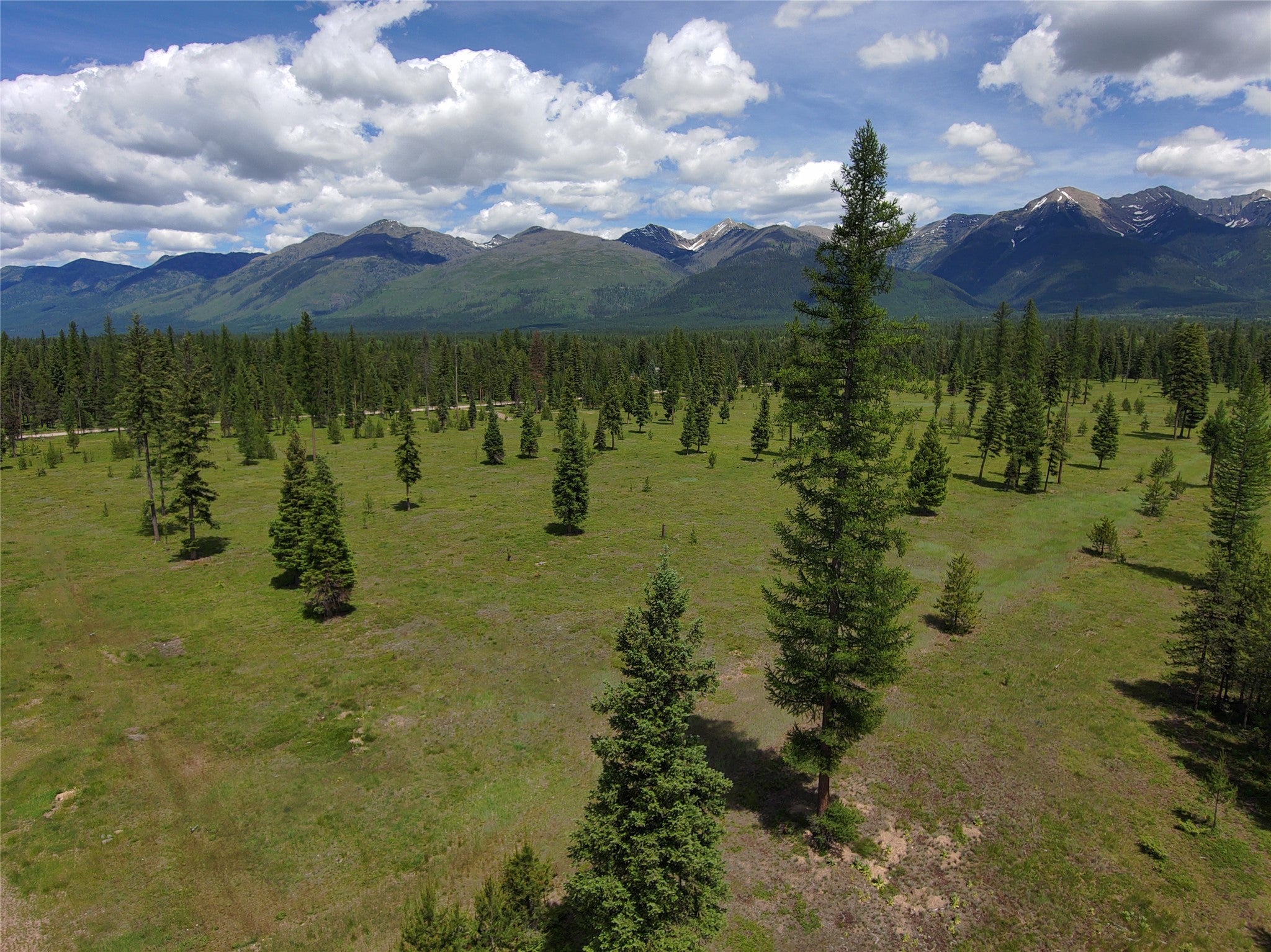 375 Remicks Road Condon, MT 59826 - Photo 36 of 40 Gallery Image 36
