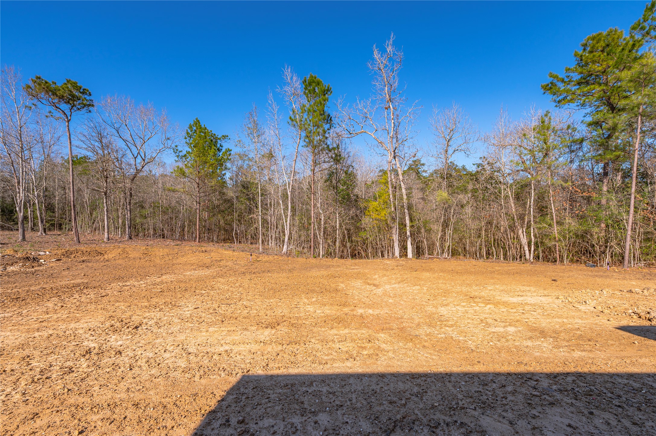 352 County Road 6490 Dayton, TX 77535 - Photo 43 of 45 a view of a yard with trees