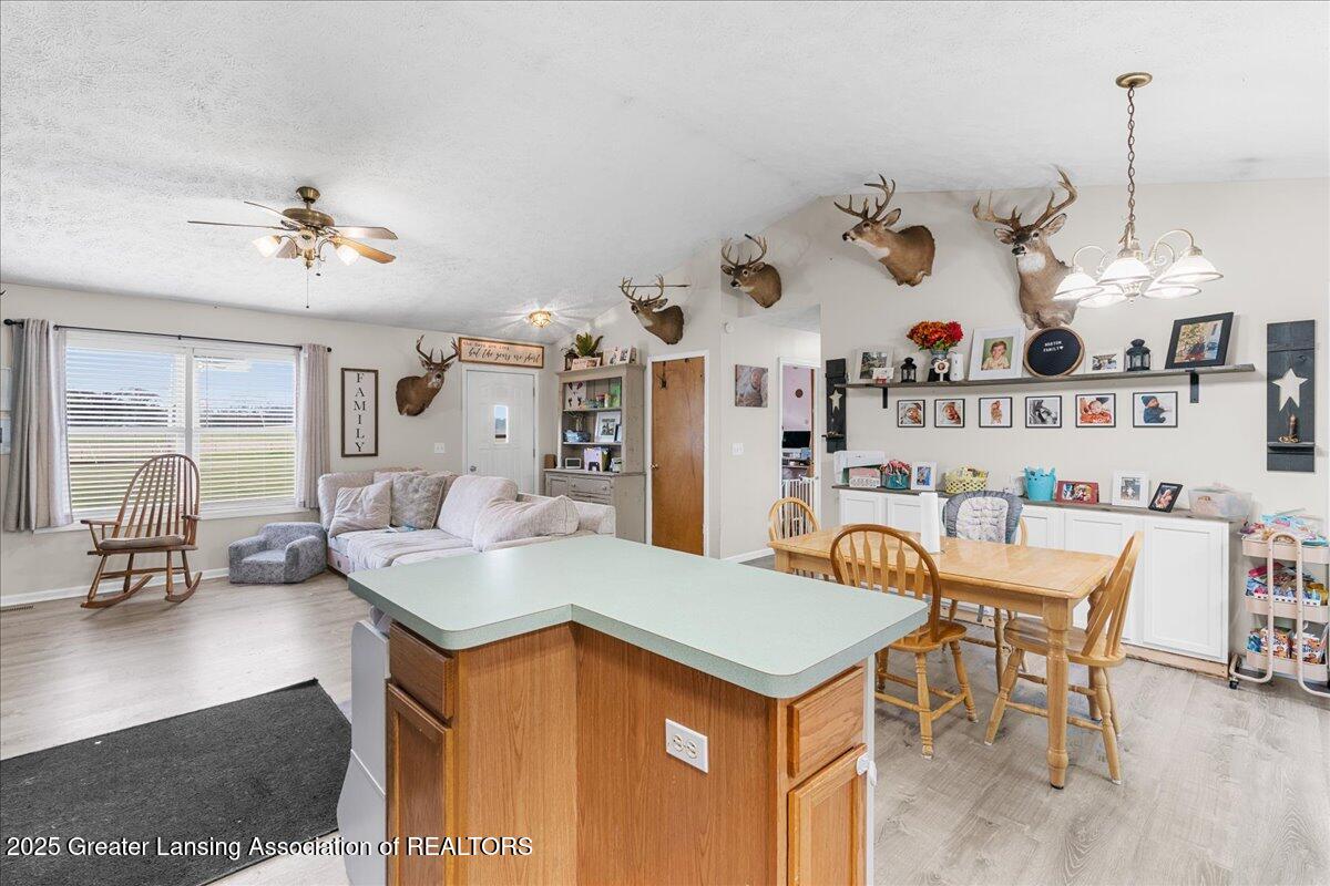 5669 Elm Road Olivet, MI 49076 - Photo 14 of 33 14-Media Jett - 27