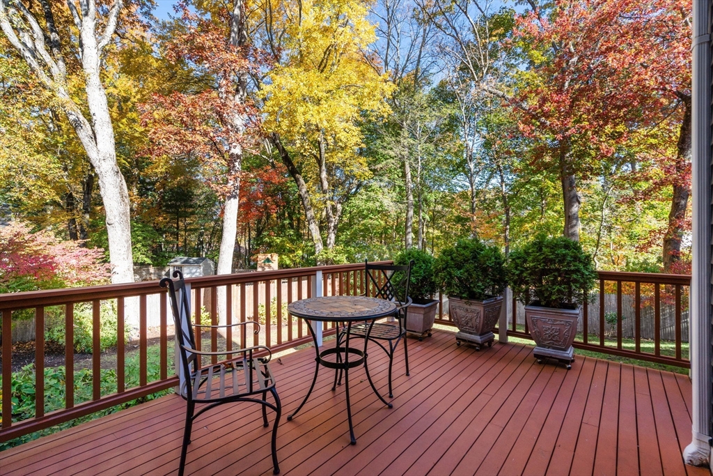 361 High Rock Street Needham, MA 02492 - Photo 28 of 38