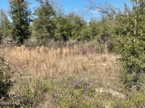 $110,000 | 0 Speights Way, Bascom, FL 32423
