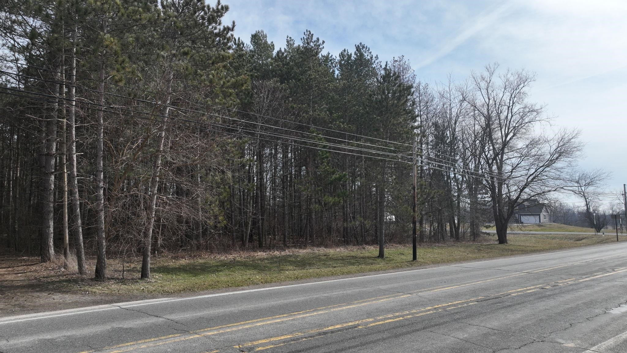 Vl Hibbard Road Corunna, MI 48817 - Photo 10 of 11