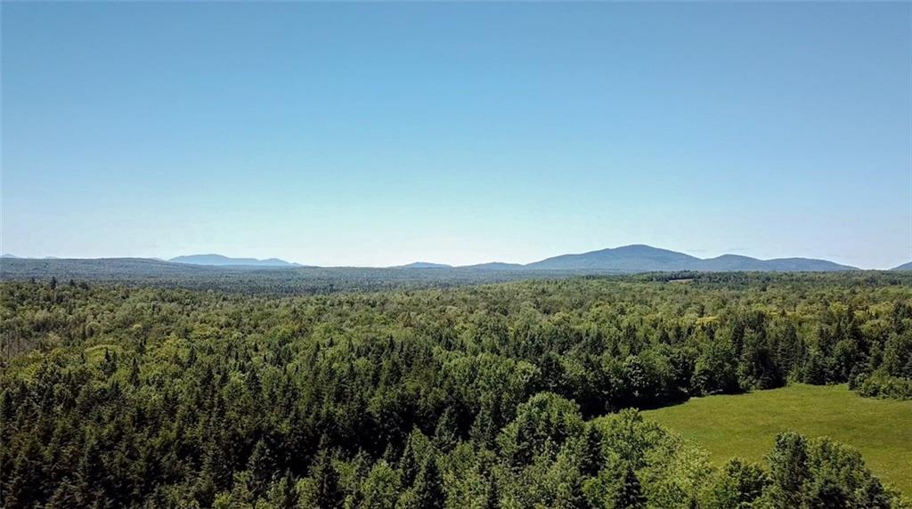 234 Retreat Road Island Falls, ME 04747 - Photo 34 of 35 The woods have been selectively cut...
