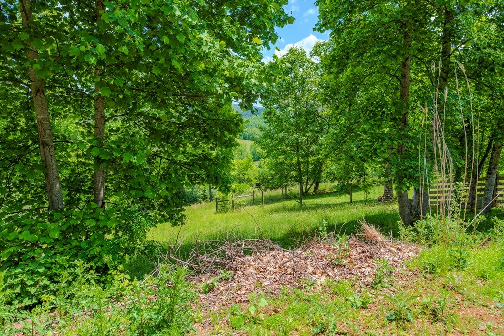 900 Kanawha Ridge Road Dugspur, VA 24325 - Photo 48 of 71 Gallery Image 48