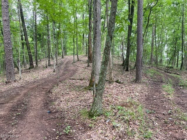 West Fork Road Spencer, WV 25276 - Photo 11 of 19