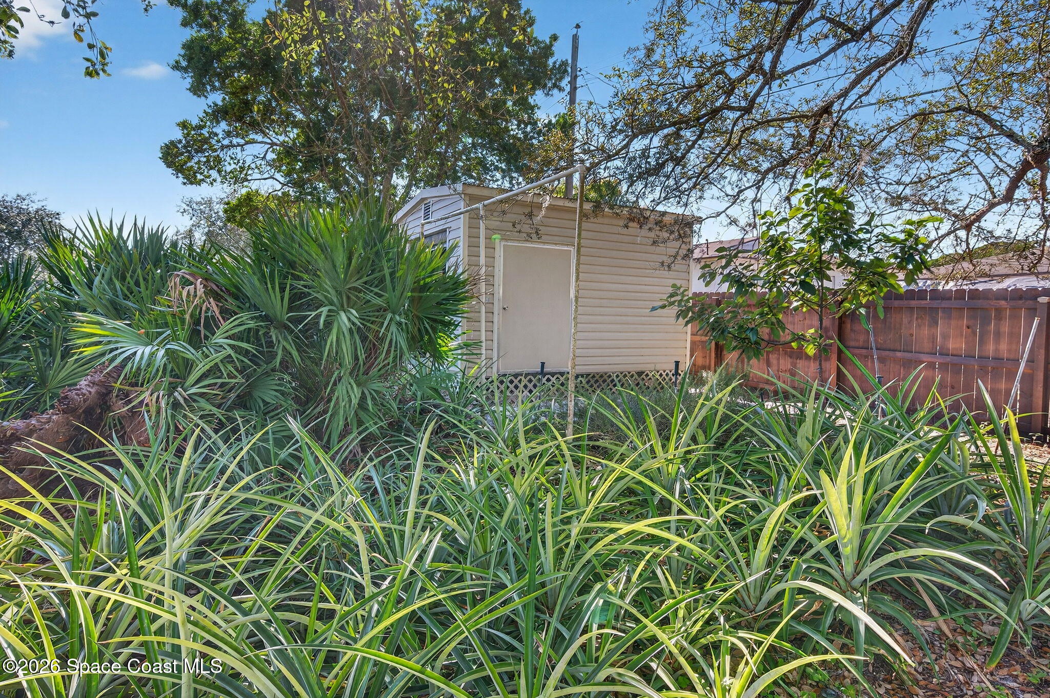 3676 South Ridge Circle Titusville, FL 32796 - Photo 59 of 74 a backyard of a house with lots of green space