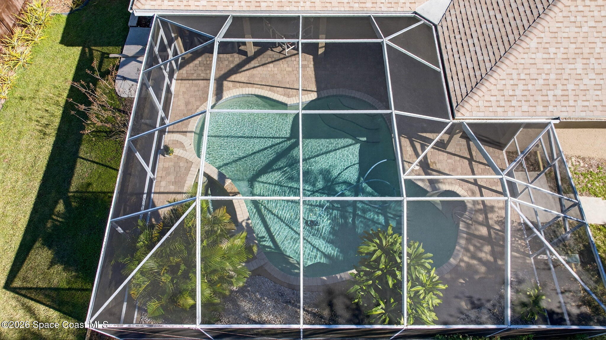 3676 South Ridge Circle Titusville, FL 32796 - Photo 62 of 74 a ocean view with a palm tree