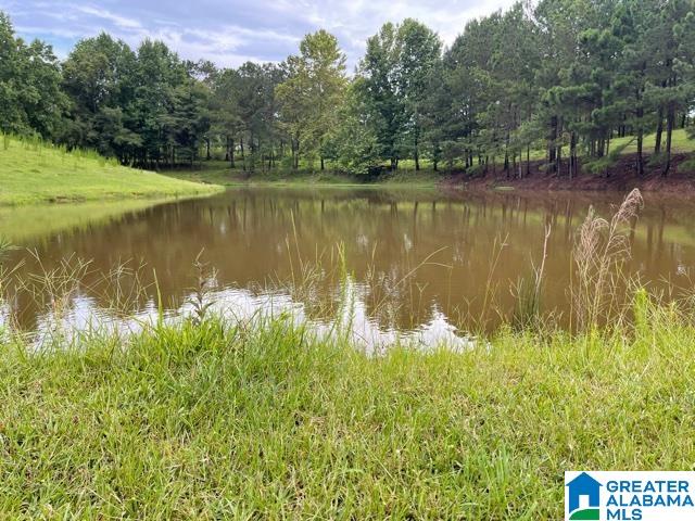 2829 Leander Road Daviston, AL 36256 - Photo 2 of 20