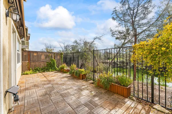 a view of a yard with plants and large trees