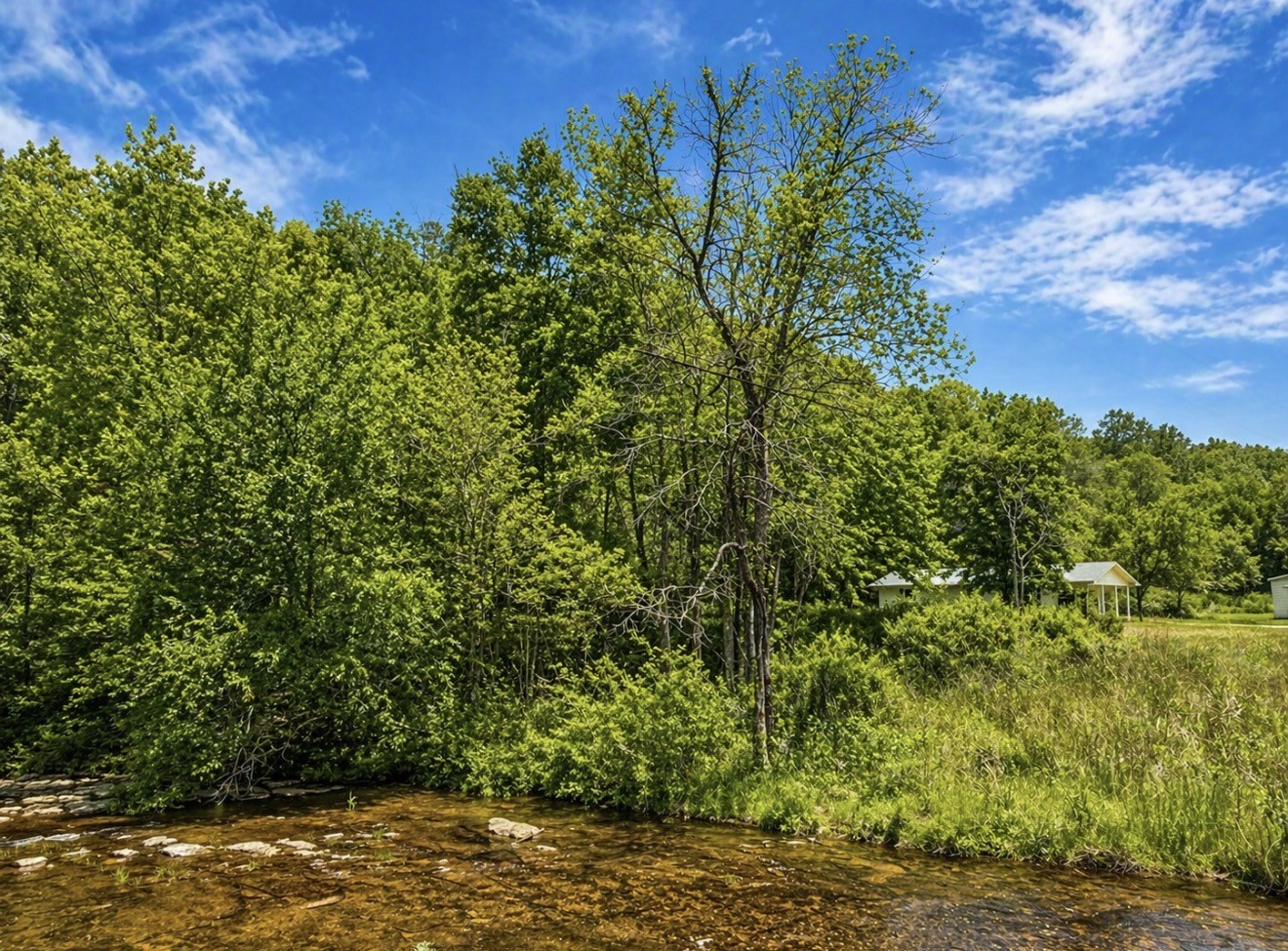 1389 West Point Road Lawrenceburg, TN 38464 - Photo 2 of 20