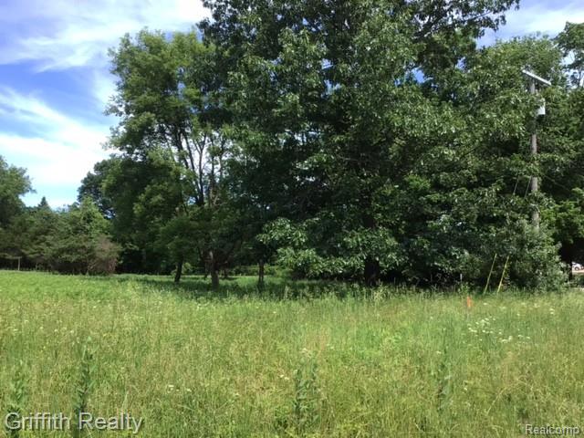 1 East Coon Lake Road Howell, MI 48843 - Photo 3 of 4