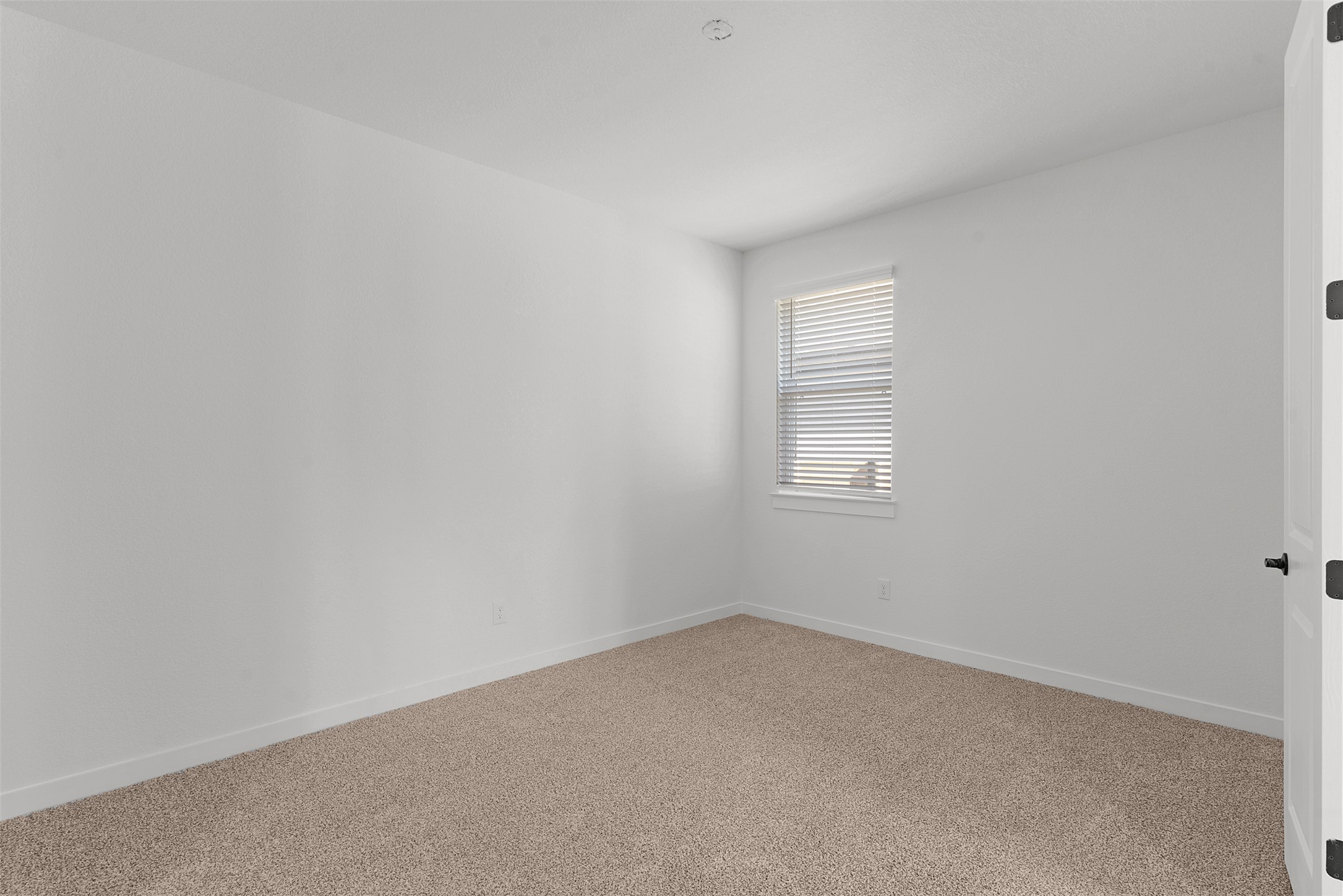 328 Ridgewell Loop Georgetown, TX 78633 - Photo 7 of 28 Unfurnished room featuring carpet flooring and baseboards
