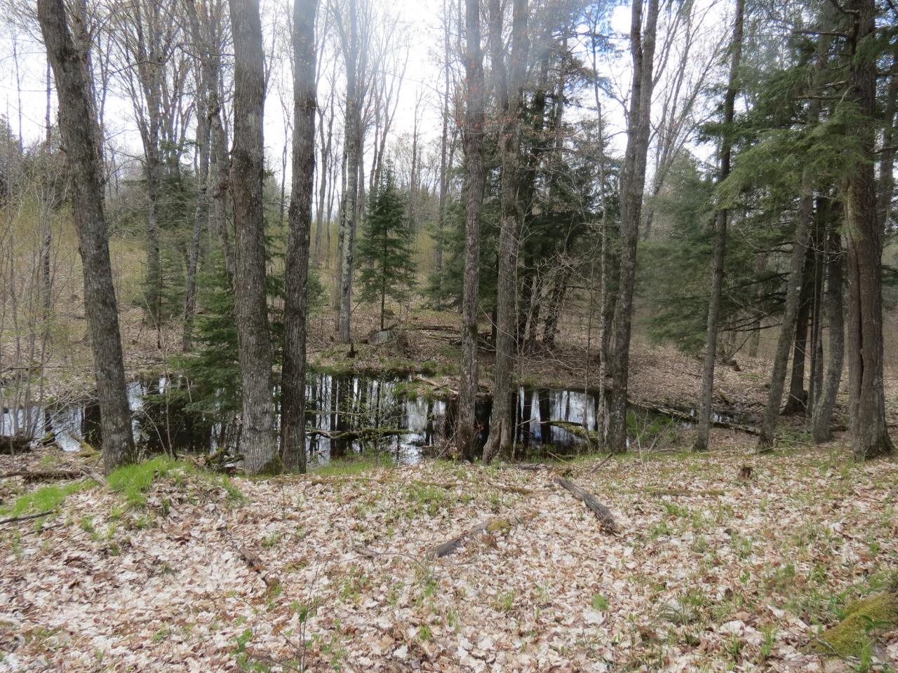 Off Lassig Road Rhinelander, WI 54501 - Photo 3 of 25 Gallery Image 3