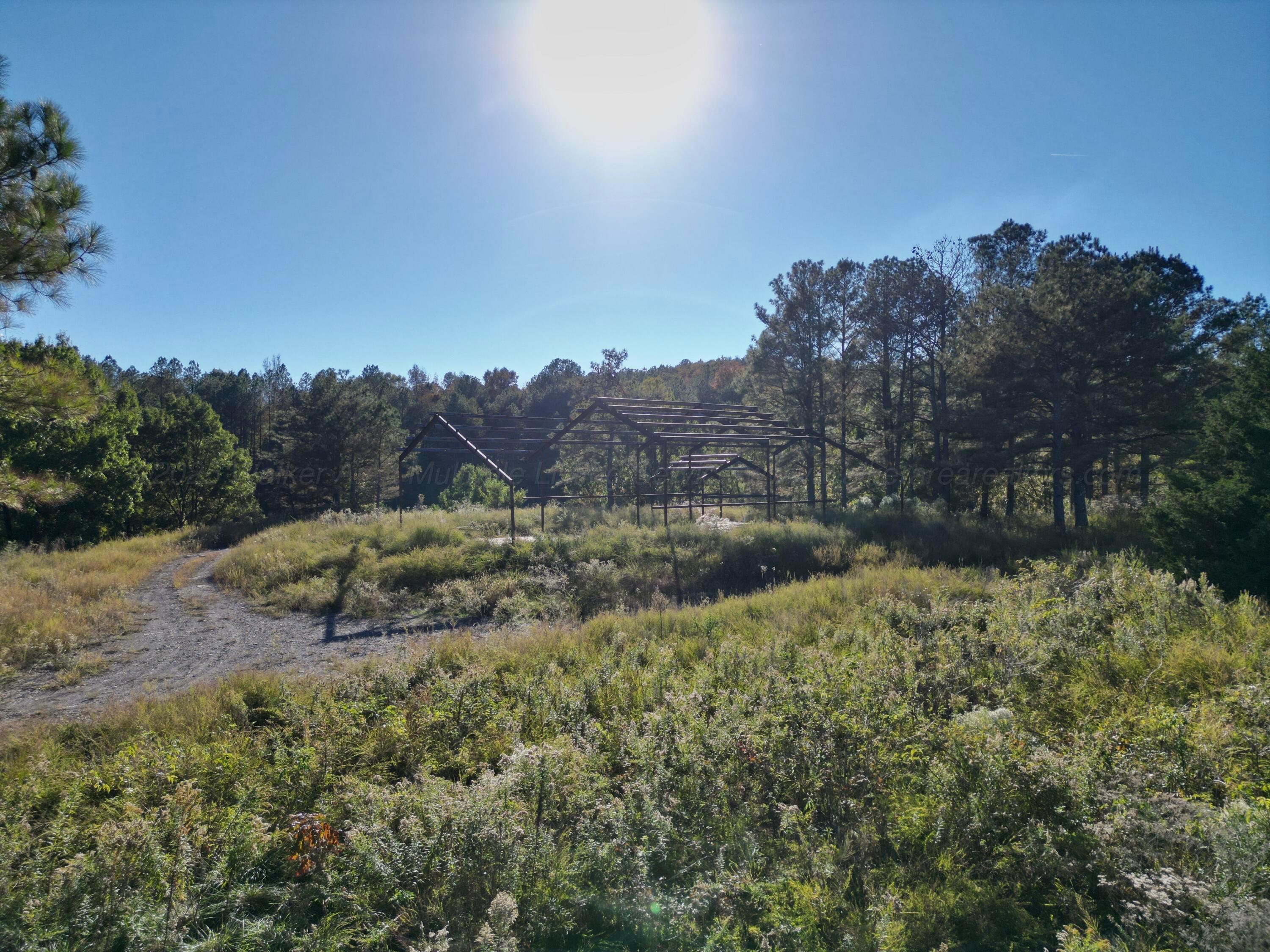 0 Homestead Road Carbon Hill, AL 35549 - Photo 29 of 35 dji_fly_20251103_213046_185_176230475622
