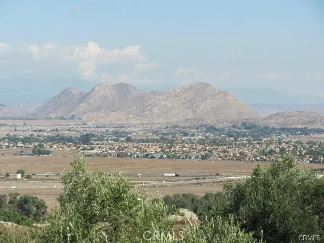 a view of a big yard with lots of bushes