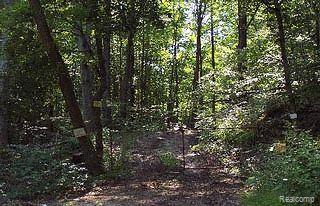 6785 Gibbons Road Jeddo, MI 48032 - Photo 1 of 1 front