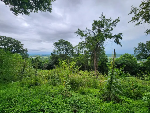 $112,900 | 0 Markland Pike, Patriot, IN 47038