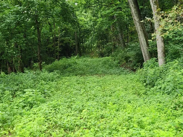 $112,900 | 0 Markland Pike, Patriot, IN 47038